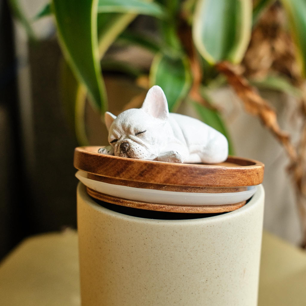 Handmade Ceramic Pet Urn with Clay Figurine from Photo, Personalised Dog Cat Ashes Jar, Memorial Keepsake, Custom Cremation Gift