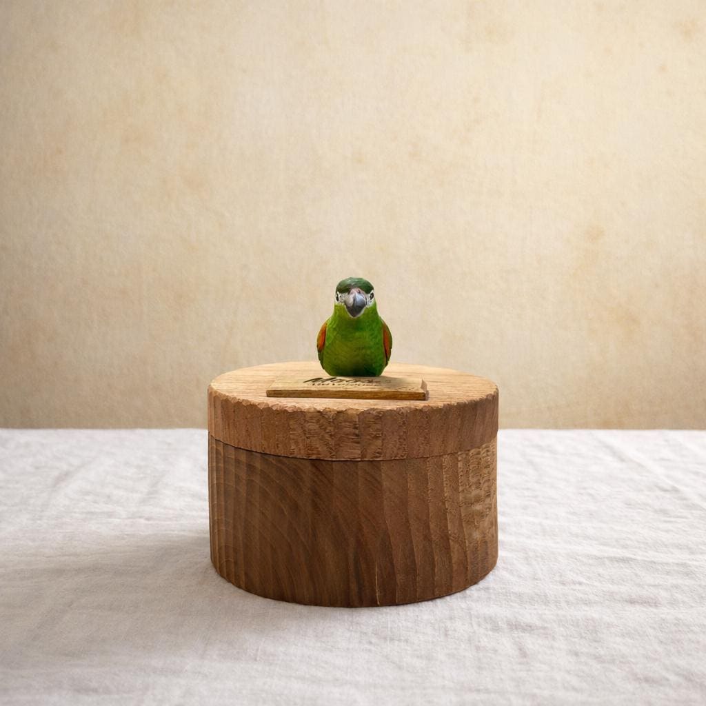 Handmade Wooden Bird, Parrot and Canary Memorial Urn: Custom Pet Figurine Keepsake from photo, pet memorial gift, pet personalised box