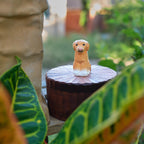 Handmade Wooden Dog Ashes Urn: Custom Labrador Figurine by photo, Pet Memorial Gift, Pet Personalised Keepsake, Jewellry Box