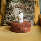 Large Wooden Cat Memorial Urn: Handmade Realistic Cat Figurine from photo, pet memorial gift, natural personalised keepsake, Cremation box