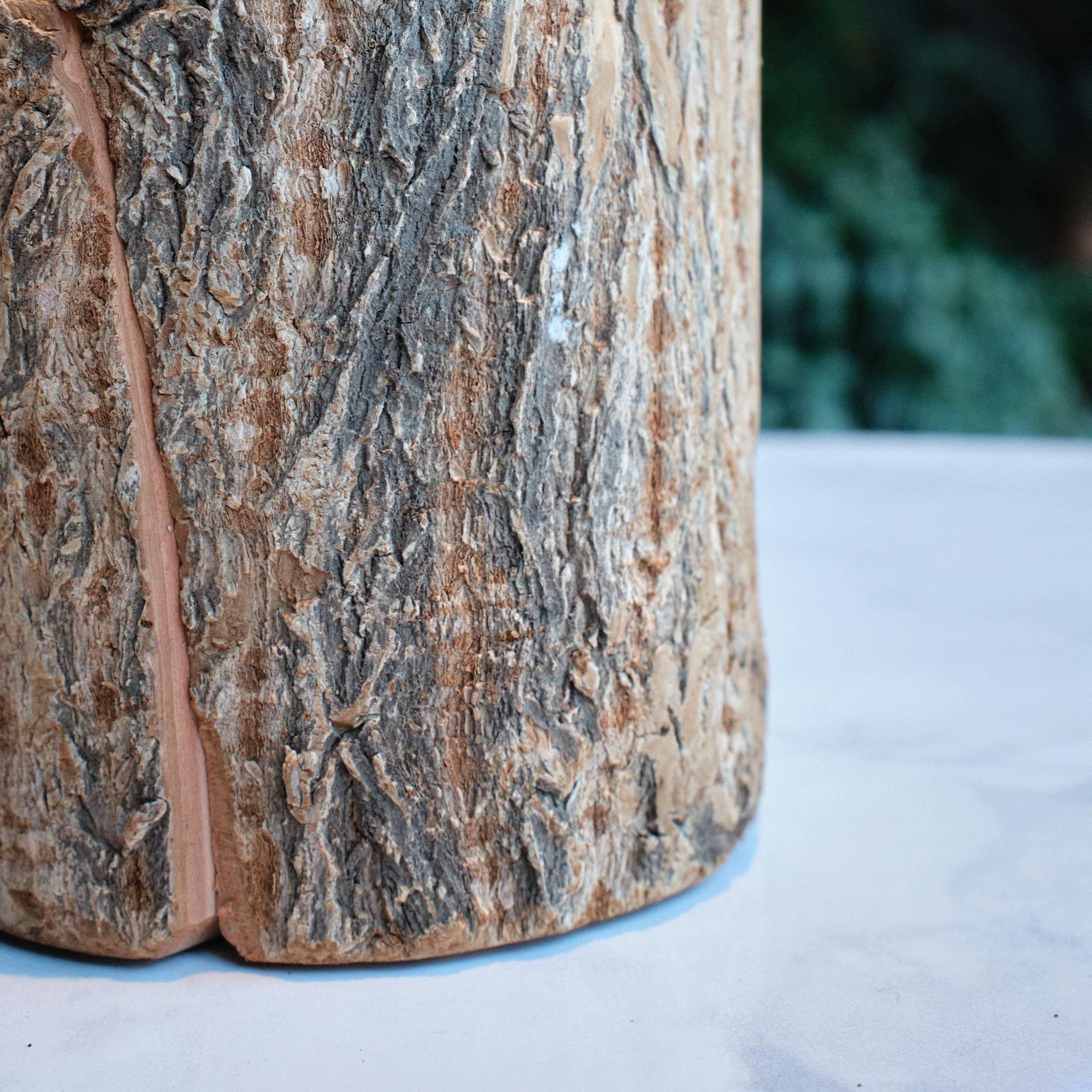 Natural Bark Wood Keepsake Box, Small Pet Urn, Eco Friendly Mini Memorial Box, Wooden Ashes Holder, Jewellery Box, Rustic Woodland Decor