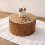 Handmade Wooden Cat Memorial Ashes Urn: British Shorthair Keepsake by Photo, Pet Memorial Gift, Pet Personalised Keepsake, Jewellery Box