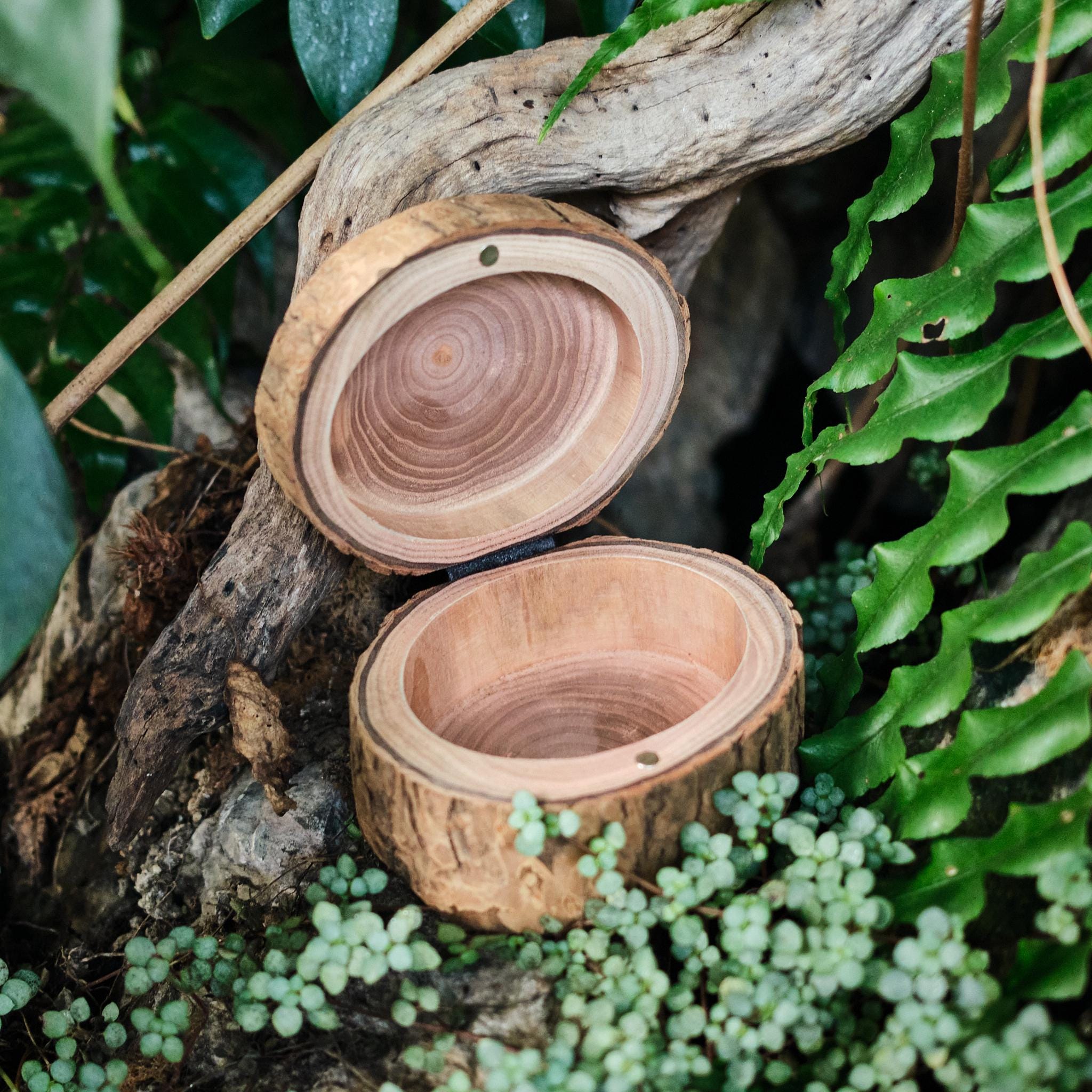 Rustic Wooden Bark Pet Memorial Box | Natural Tree Slice Ashes Urn | Keepsake Memory Trunk Box for Dog Cat Remembrance Gift | Jewellery Pot