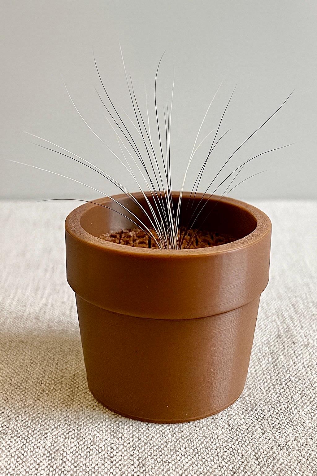 3D Printed Mini Whisker Flower Pot | Pet Memorial Keepsake for Cat Rabbit Whiskers | Unique Remembrance Gift | Decorative Whiskers Holder