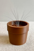 3D Printed Mini Whisker Flower Pot | Pet Memorial Keepsake for Cat Rabbit Whiskers | Unique Remembrance Gift | Decorative Whiskers Holder