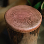 Handcrafted Natural Wooden Pet Urn for Medium and Large Dogs, Eco-Friendly Rustic Ashes Jar with Tree Rings, Organic Memorial Keepsake Gift