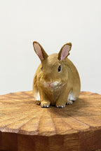 Bespoke Handmade Wooden Rabbit Memorial Ashes Urn: Realistic Bunny Figurine from photo, Pet Memorial Gift, Personalised Keepsake