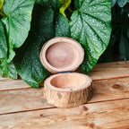 Rustic Wooden Bark Pet Memorial Box | Natural Tree Slice Ashes Urn | Keepsake Memory Trunk Box for Dog Cat Remembrance Gift | Jewellery Pot