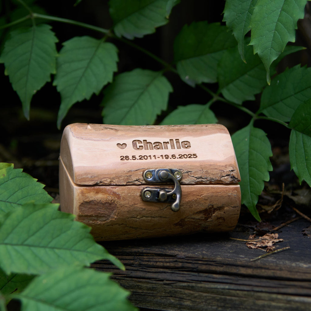 Small Rustic Wooden Bark Pet Memorial Box｜Metal Clasp｜Eco Keepsake Urn for Ashes Hair Teeth｜Custom Laser Engraving｜Small Animal Cremation