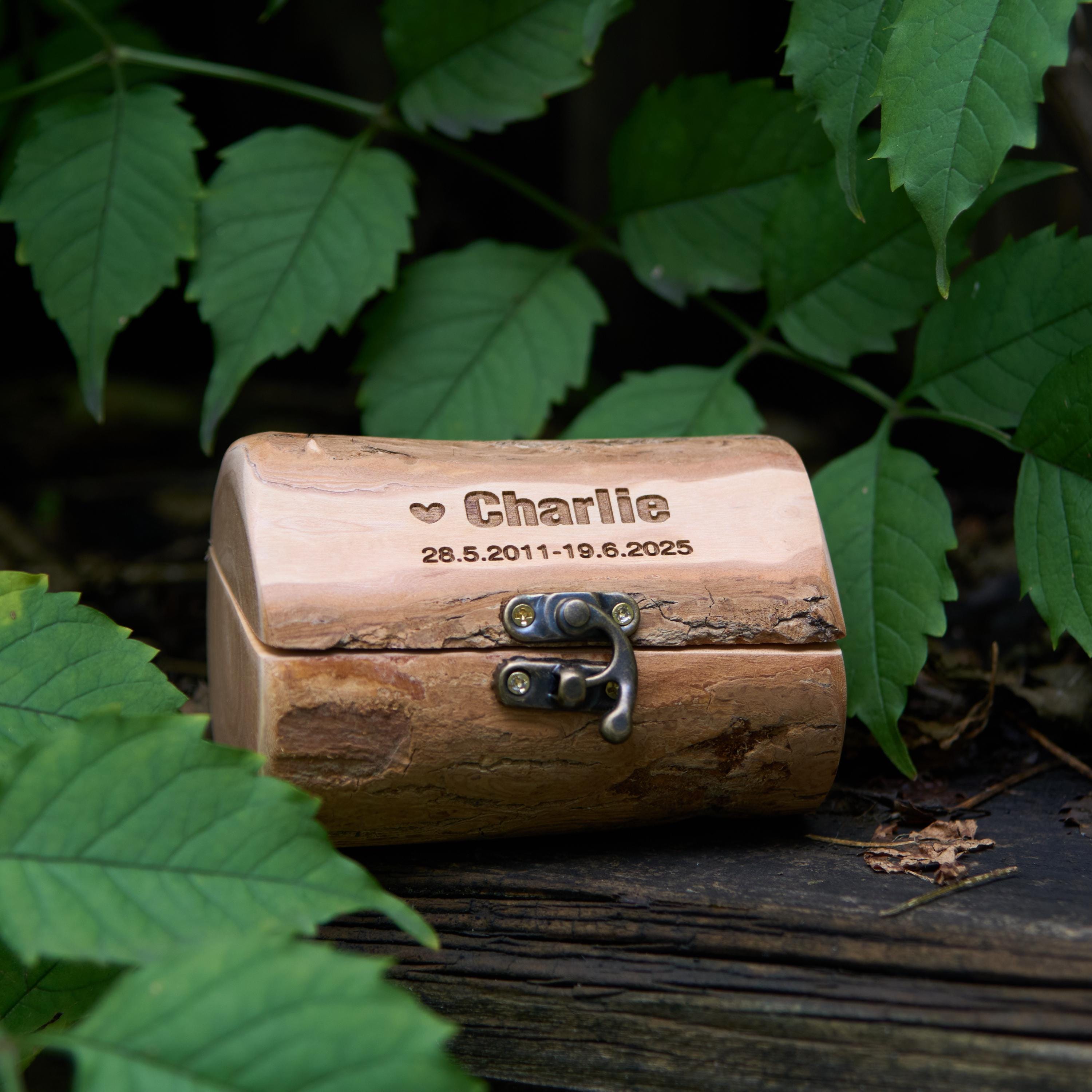 Small Rustic Wooden Bark Pet Memorial Box｜Metal Clasp｜Eco Keepsake Urn for Ashes Hair Teeth｜Custom Laser Engraving｜Small Animal Cremation