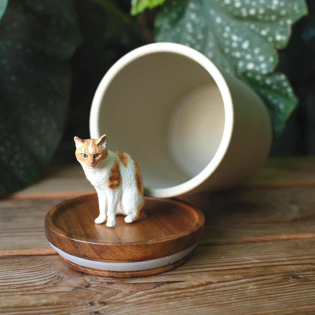 Handmade Pet Urn with Personalised Clay Figurine from Photo,  Ceramic Cat Ashes Jar with wood lid, Memorial Keepsake, Custom Cremation Gift