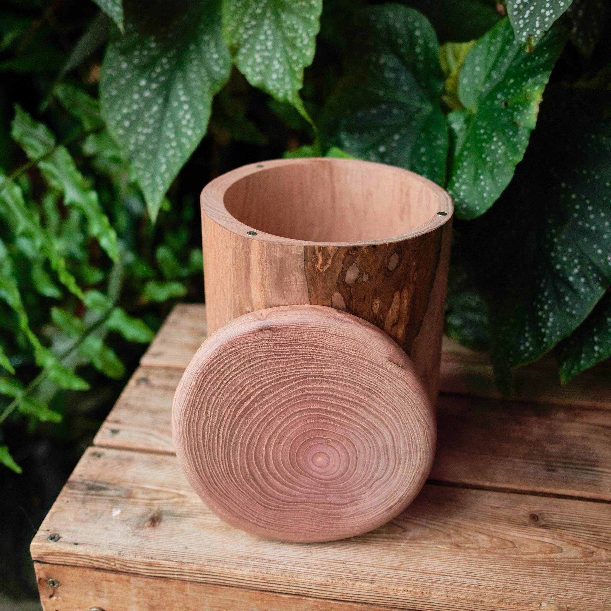Handcrafted Natural Wooden Pet Urn for Medium and Large Dogs, Eco-Friendly Rustic Ashes Jar with Tree Rings, Organic Memorial Keepsake Gift