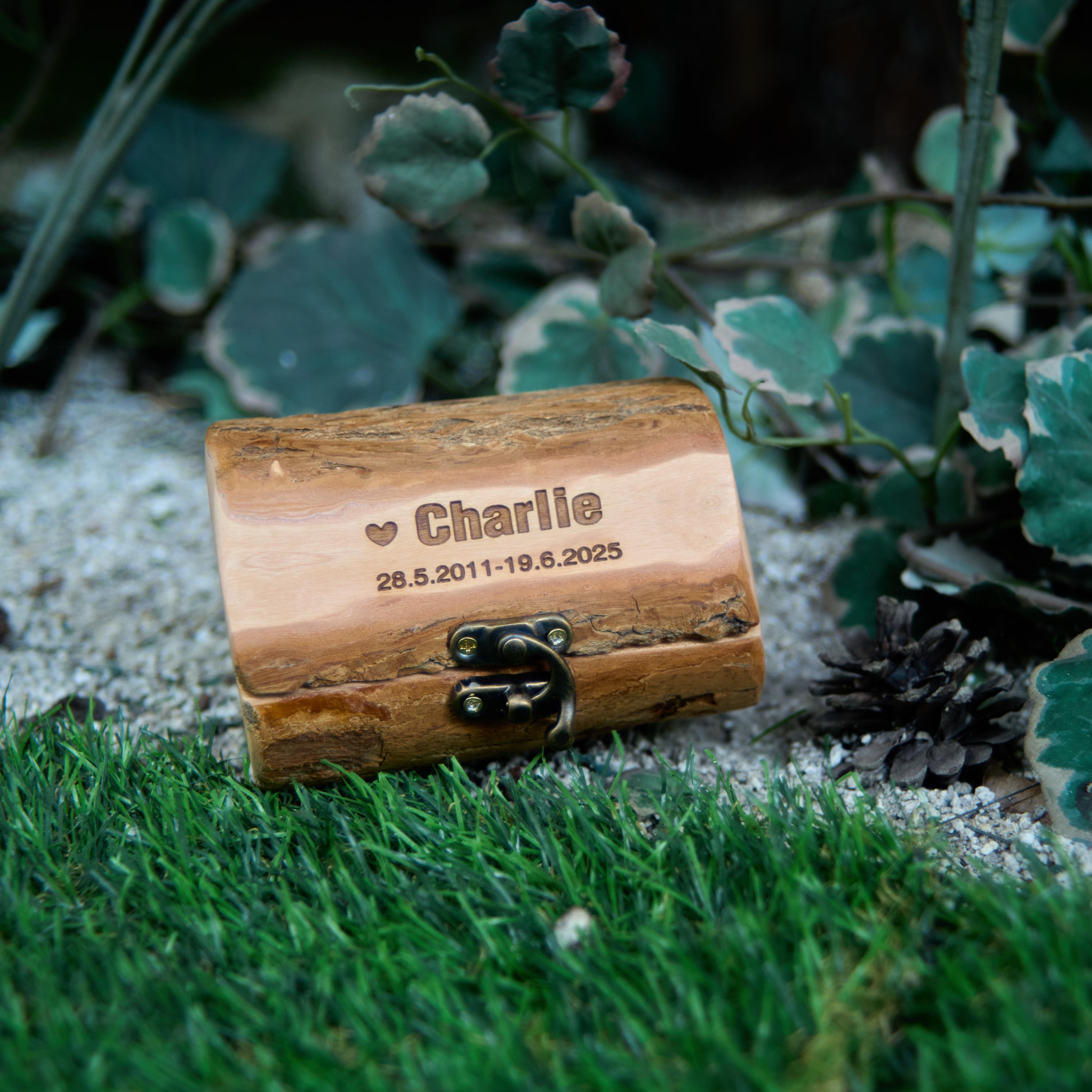 Small Rustic Wooden Bark Pet Memorial Box｜Metal Clasp｜Eco Keepsake Urn for Ashes Hair Teeth｜Custom Laser Engraving｜Small Animal Cremation