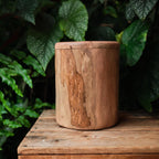 Handcrafted Natural Wooden Pet Urn for Medium and Large Dogs, Eco-Friendly Rustic Ashes Jar with Tree Rings, Organic Memorial Keepsake Gift
