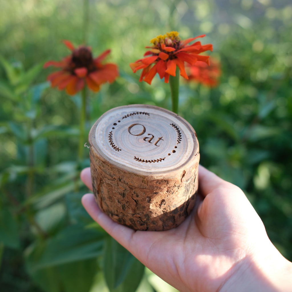 Natural Wooden Pet Memorial Keepsake Box | Tree Slice Urn for Ashes | Custom Engraved Hair Tooth Wood Trunk | Eco-Friendly Keepsake Gift