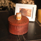 Handmade Wooden Cat Memorial Urn: Orange Tabby Keepsake Box by photo, pet memorial gift, pet personalised keepsake, Jewellery box