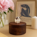 Handmade Wooden Cat Memorial Ashes Urn: British Shorthair Keepsake by Photo, Pet Memorial Gift, Pet Personalised Keepsake, Jewellery Box