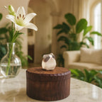 Handmade Wooden Cat Memorial Ashes Urn: British Shorthair Keepsake by Photo, Pet Memorial Gift, Pet Personalised Keepsake, Jewellery Box