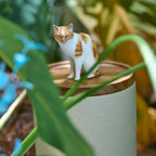 Handmade Pet Urn with Personalised Clay Figurine from Photo,  Ceramic Cat Ashes Jar with wood lid, Memorial Keepsake, Custom Cremation Gift