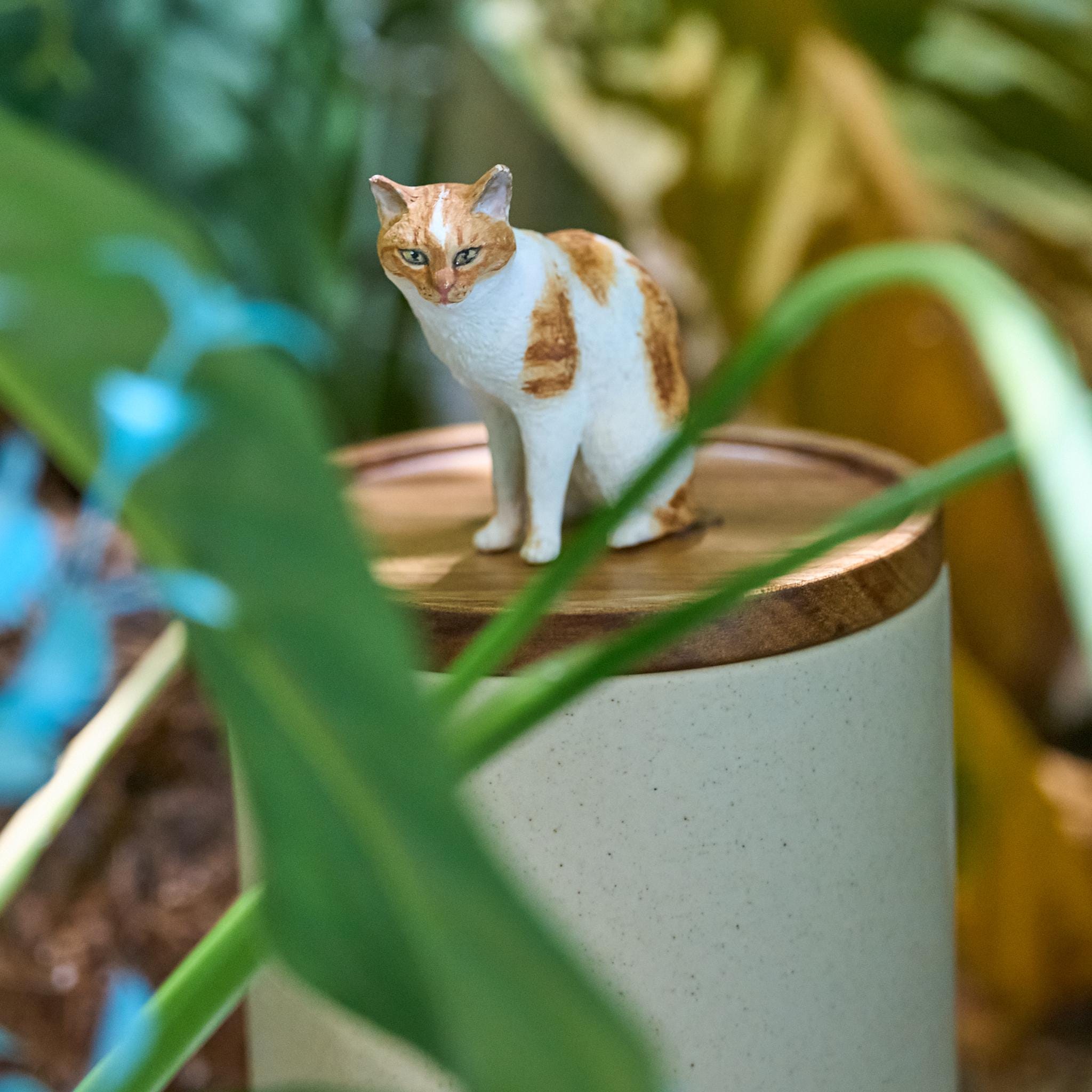 Handmade Pet Urn with Personalised Clay Figurine from Photo,  Ceramic Cat Ashes Jar with wood lid, Memorial Keepsake, Custom Cremation Gift