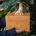 Custom Dog Polymer Clay Sculpture from Photo with Large Bamboo Wooden Urn Box, Handmade Eco Friendly Pet Memorial Keepsake Gift