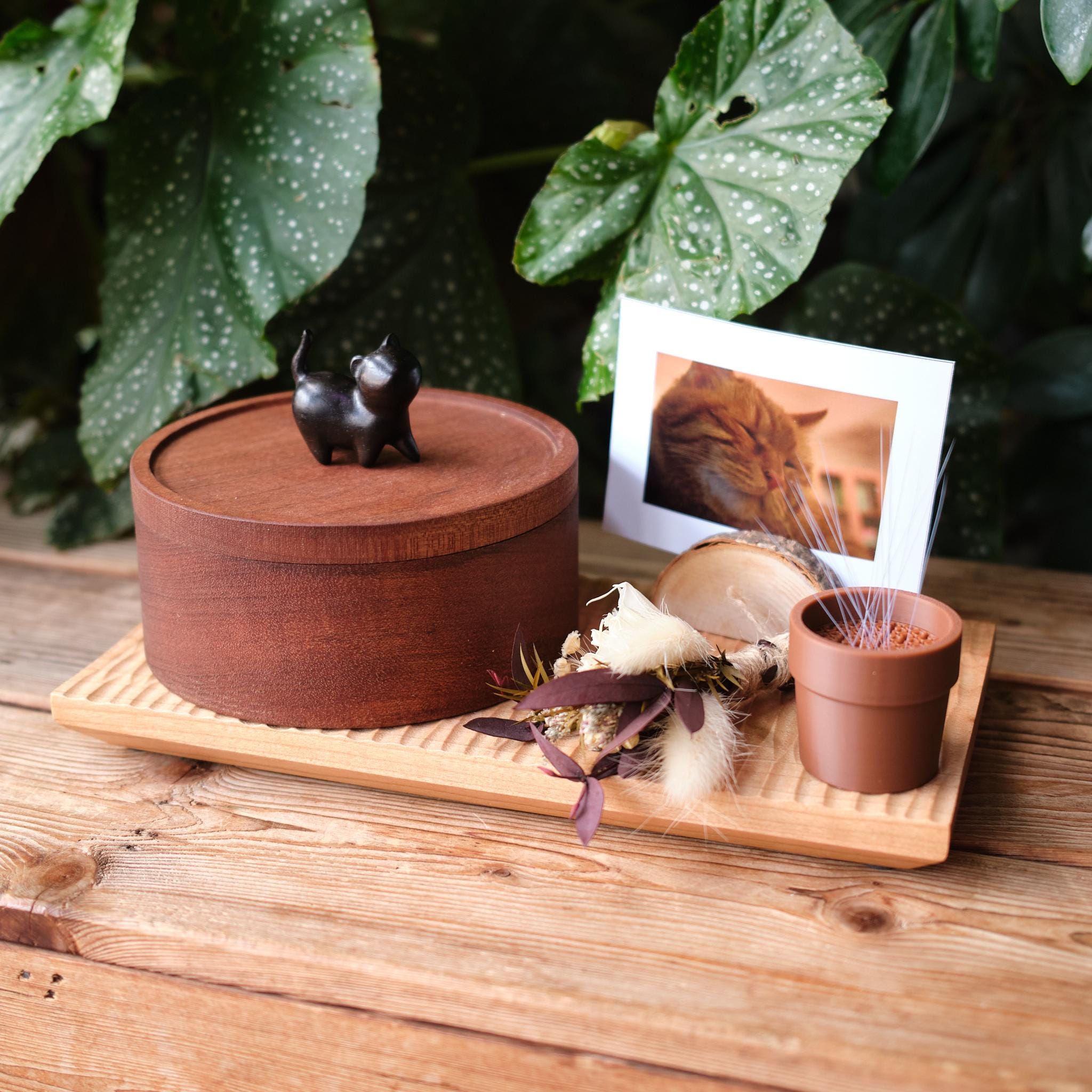 Handmade Cat Urn Memorial Set for Home Decor, Wooden Cat Ashes Urn with Whisker Keepsake, Eco Friendly Pet Remembrance Box, Per Loss Gift
