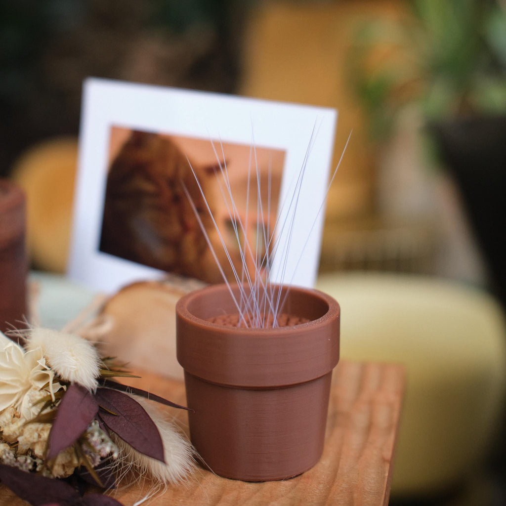 Handmade Cat Urn Memorial Set for Home Decor, Wooden Cat Ashes Urn with Whisker Keepsake, Eco Friendly Pet Remembrance Box, Per Loss Gift