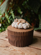 Custom Resting Cat Memorial Urn from Photo, Handmade Wooden Cat Ashes Box, Sleeping Cat on Cloud Pet Keepsake
