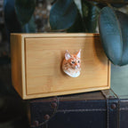 Handcrafted Bamboo Cat Memorial Urn with Realistic Plaster Head from photo, Personalised Pet Ashes Keepsake Box, Eco Friendly Cat Loss Gift