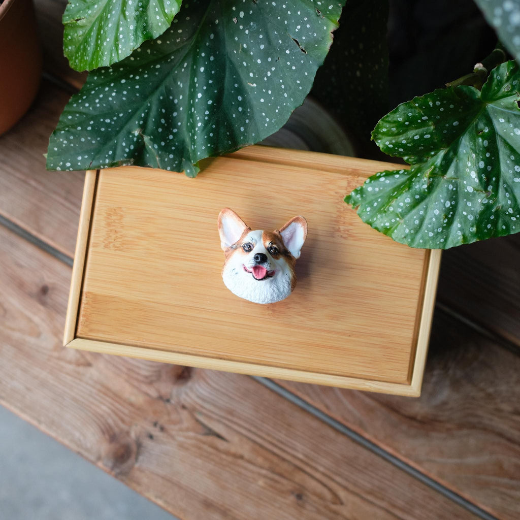 Handcrafted Bamboo Dog Memorial Urn with Realistic Plaster Corgi Head from photo, Personalised Pet Keepsake, Eco Friendly Dog Loss Gift