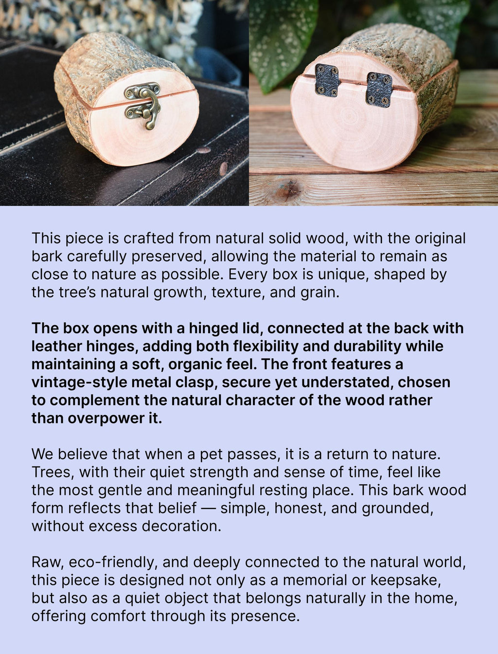 Natural Bark Wood Keepsake Box, Small Pet Urn, Eco Friendly Mini Memorial Box, Wooden Ashes Holder, Jewellery Box, Rustic Woodland Decor