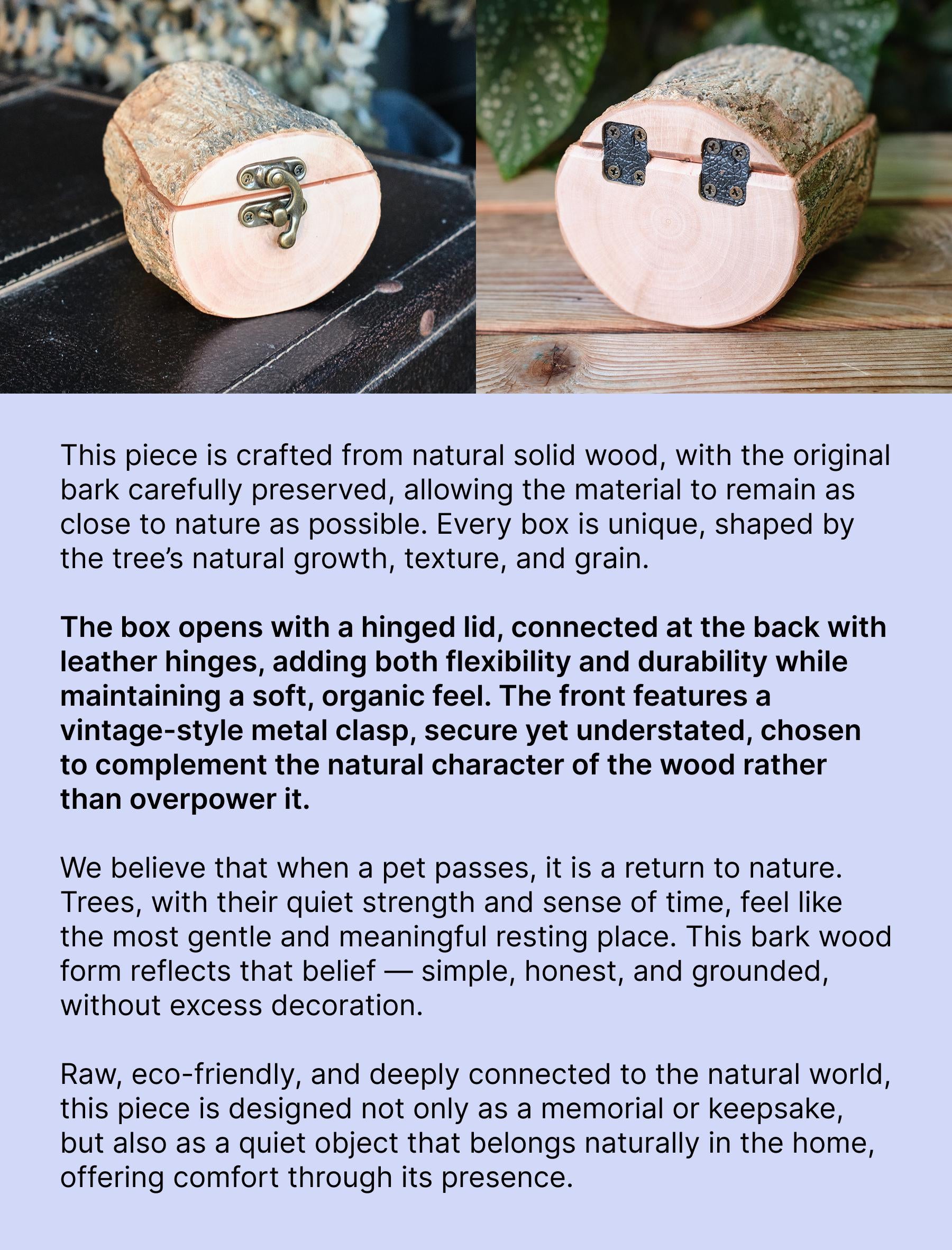 Natural Bark Wood Keepsake Box, Small Pet Urn, Eco Friendly Mini Memorial Box, Wooden Ashes Holder, Jewellery Box, Rustic Woodland Decor