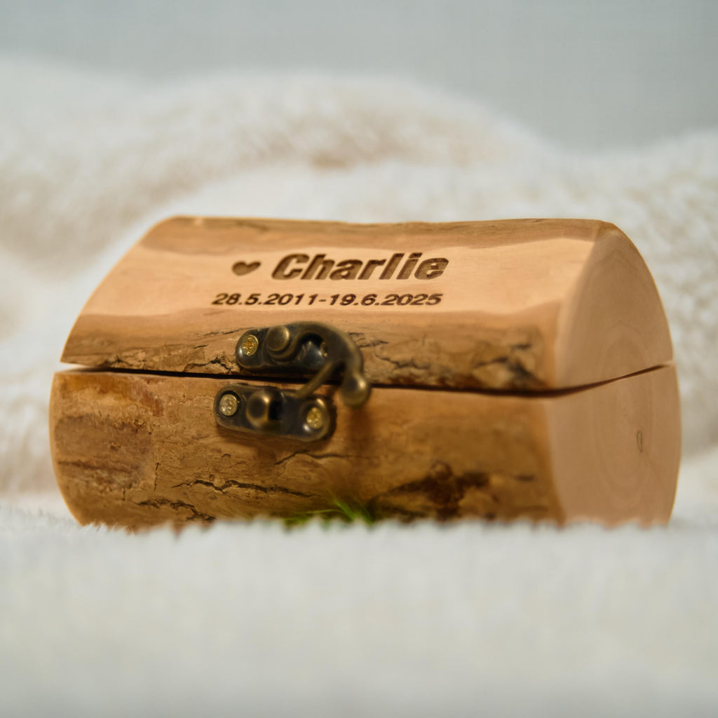 Small Rustic Wooden Bark Pet Memorial Box｜Metal Clasp｜Eco Keepsake Urn for Ashes Hair Teeth｜Custom Laser Engraving｜Small Animal Cremation