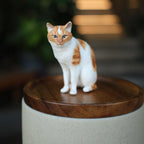 Handmade Pet Urn with Personalised Clay Figurine from Photo,  Ceramic Cat Ashes Jar with wood lid, Memorial Keepsake, Custom Cremation Gift
