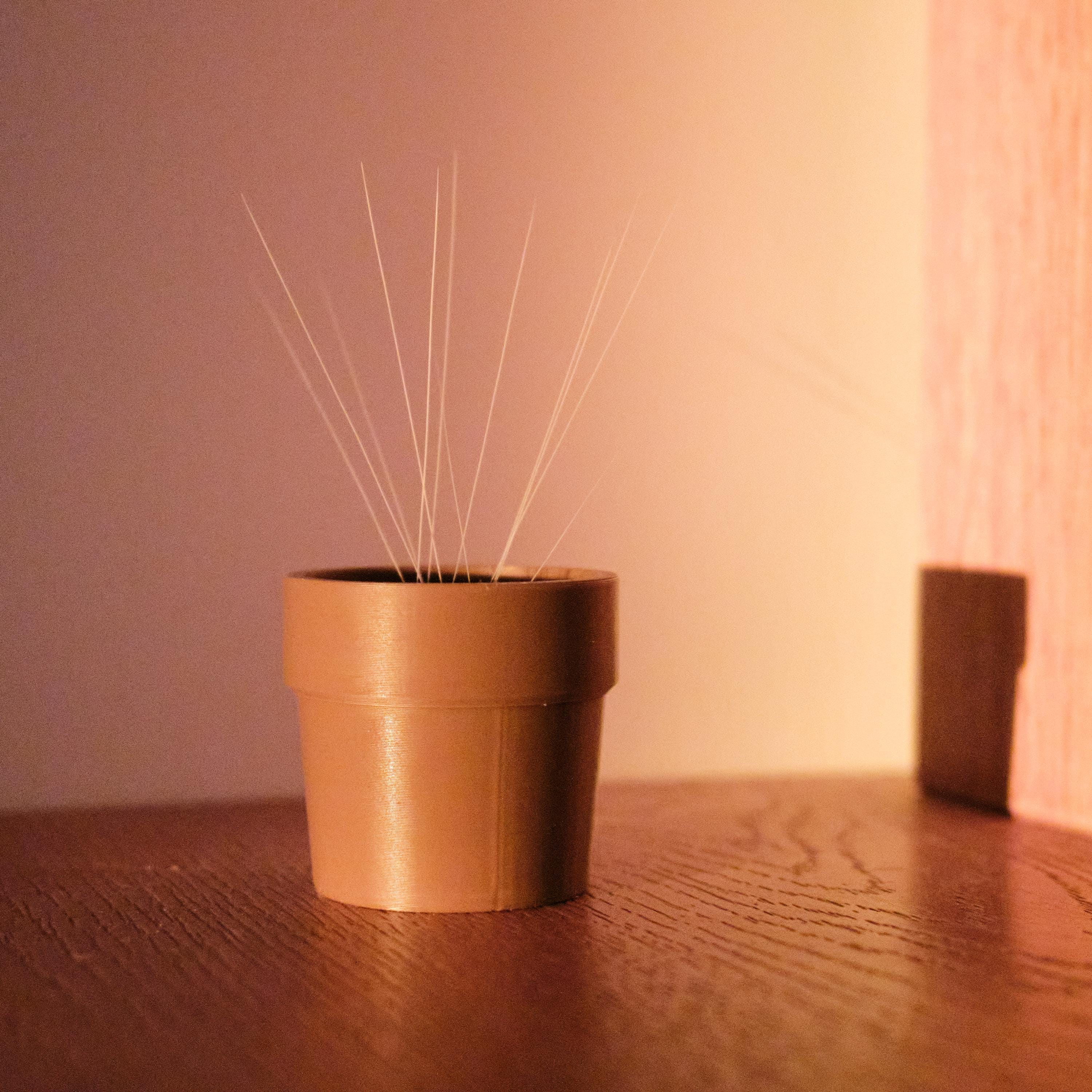 3D Printed Mini Whisker Flower Pot | Pet Memorial Keepsake for Cat Rabbit Whiskers | Unique Remembrance Gift | Decorative Whiskers Holder