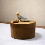 Handmade Wooden Bird, Parrot and Canary Memorial Urn: Custom Pet Figurine Keepsake from photo, pet memorial gift, pet personalised box