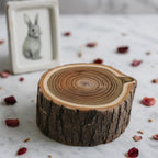 Rustic Wooden Bark Pet Memorial Box | Natural Tree Slice Ashes Urn | Keepsake Memory Trunk Box for Dog Cat Remembrance Gift | Jewellery Pot