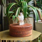 Large Wooden Cat Memorial Urn: Handmade Realistic Cat Figurine from photo, pet memorial gift, natural personalised keepsake, Cremation box
