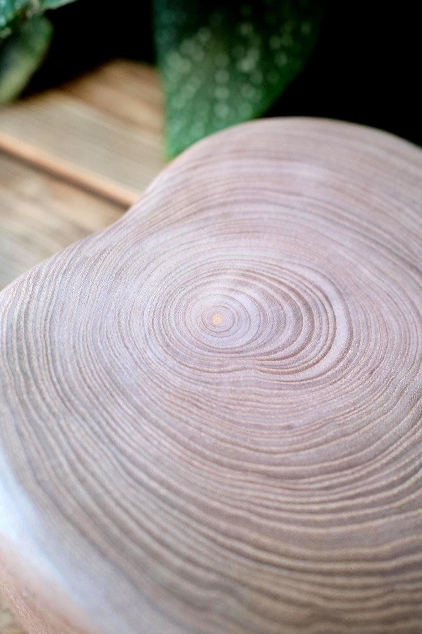 Heart-Shaped Wooden Pet Urn with Tree Ring Grain, Eco Friendly Handcrafted Memorial Box, Hinged Lid with Magnetic Seal, Pet Ashes Keepsake