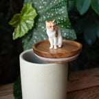 Handmade Pet Urn with Personalised Clay Figurine from Photo,  Ceramic Cat Ashes Jar with wood lid, Memorial Keepsake, Custom Cremation Gift