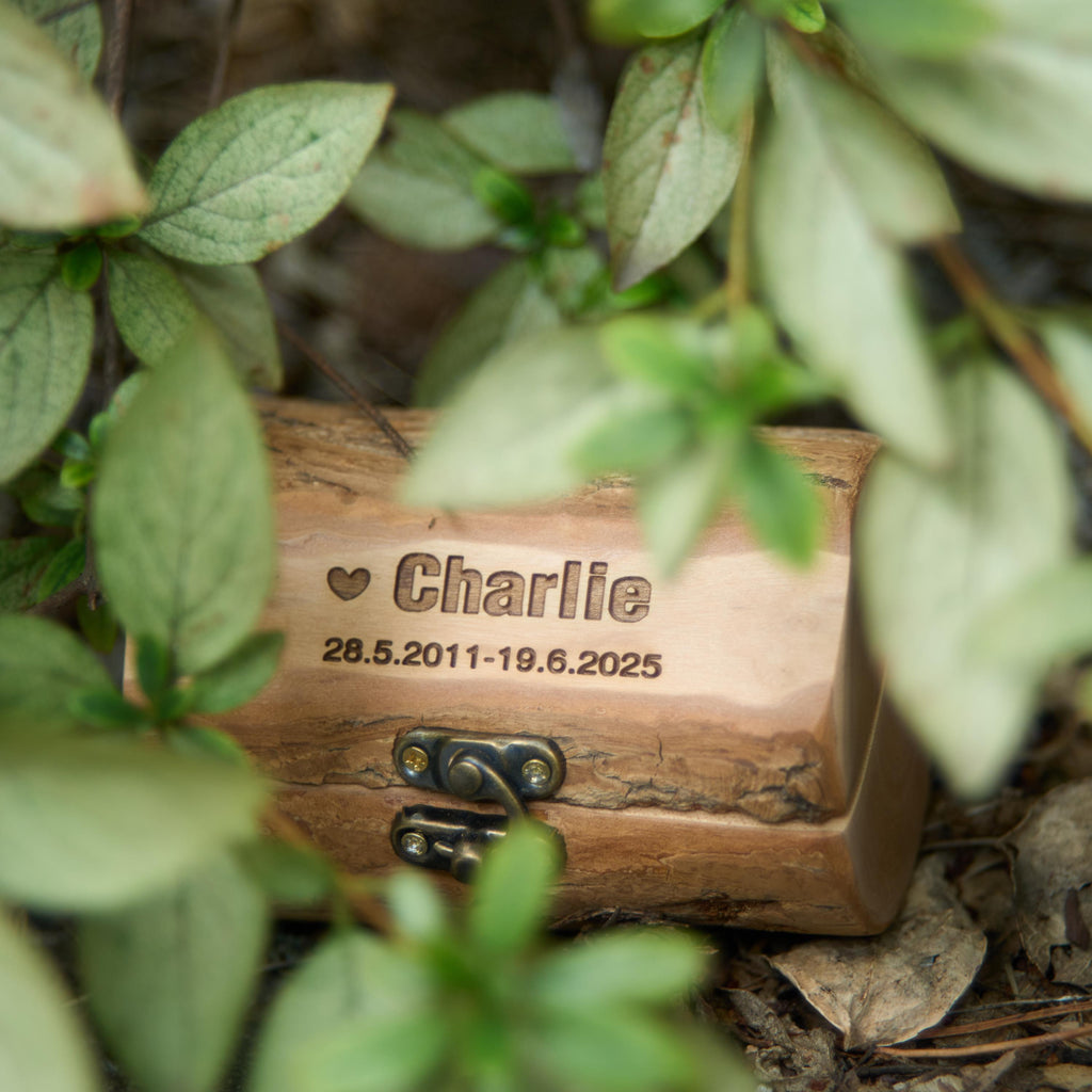 Small Rustic Wooden Bark Pet Memorial Box｜Metal Clasp｜Eco Keepsake Urn for Ashes Hair Teeth｜Custom Laser Engraving｜Small Animal Cremation