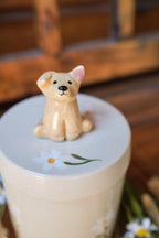 Handmade Ceramic Dog Urn with Figurine | Custom Pet Memorial Gift | Ashes Keepsake Box | Personalised Pet Sculpture｜Tea Container Jar