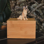 Custom Dog Polymer Clay Sculpture from Photo with Large Bamboo Wooden Urn Box, Handmade Eco Friendly Pet Memorial Keepsake Gift