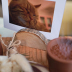 Handmade Cat Urn Memorial Set for Home Decor, Wooden Cat Ashes Urn with Whisker Keepsake, Eco Friendly Pet Remembrance Box, Per Loss Gift