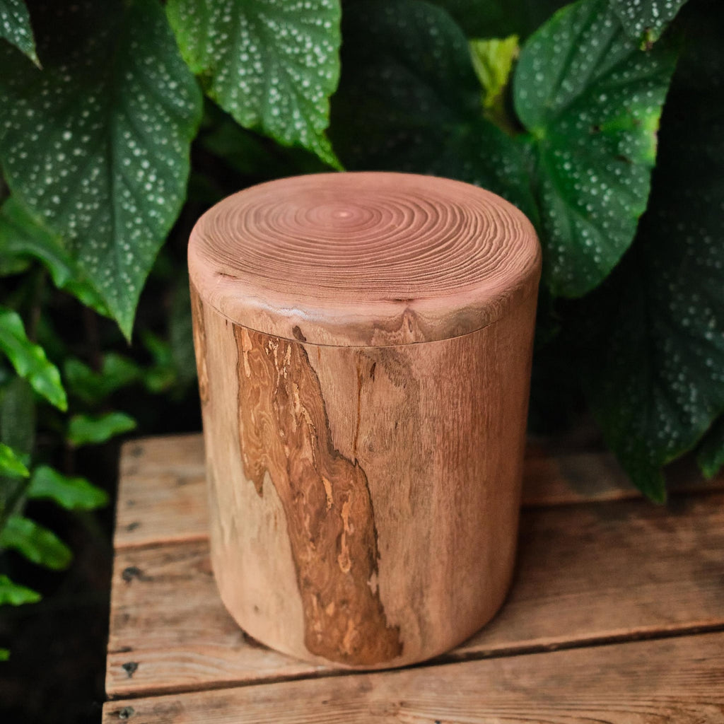 Handcrafted Natural Wooden Pet Urn for Medium and Large Dogs, Eco-Friendly Rustic Ashes Jar with Tree Rings, Organic Memorial Keepsake Gift