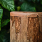 Handcrafted Natural Wooden Pet Urn for Medium and Large Dogs, Eco-Friendly Rustic Ashes Jar with Tree Rings, Organic Memorial Keepsake Gift