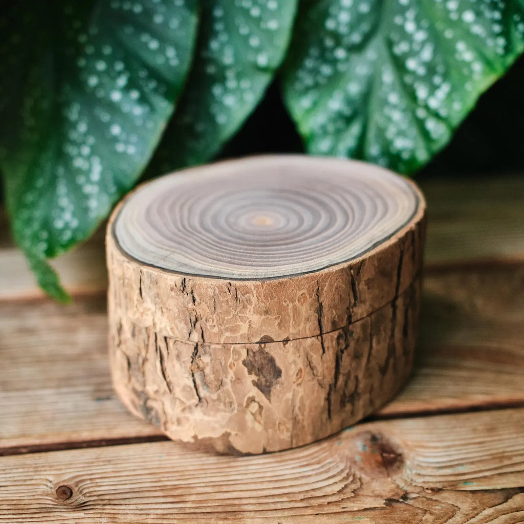 Rustic Wooden Bark Pet Memorial Box | Natural Tree Slice Ashes Urn | Keepsake Memory Trunk Box for Dog Cat Remembrance Gift | Jewellery Pot