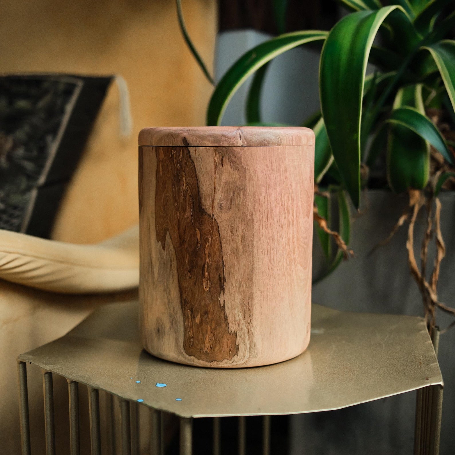 Handcrafted Natural Wooden Pet Urn for Medium and Large Dogs, Eco-Friendly Rustic Ashes Jar with Tree Rings, Organic Memorial Keepsake Gift