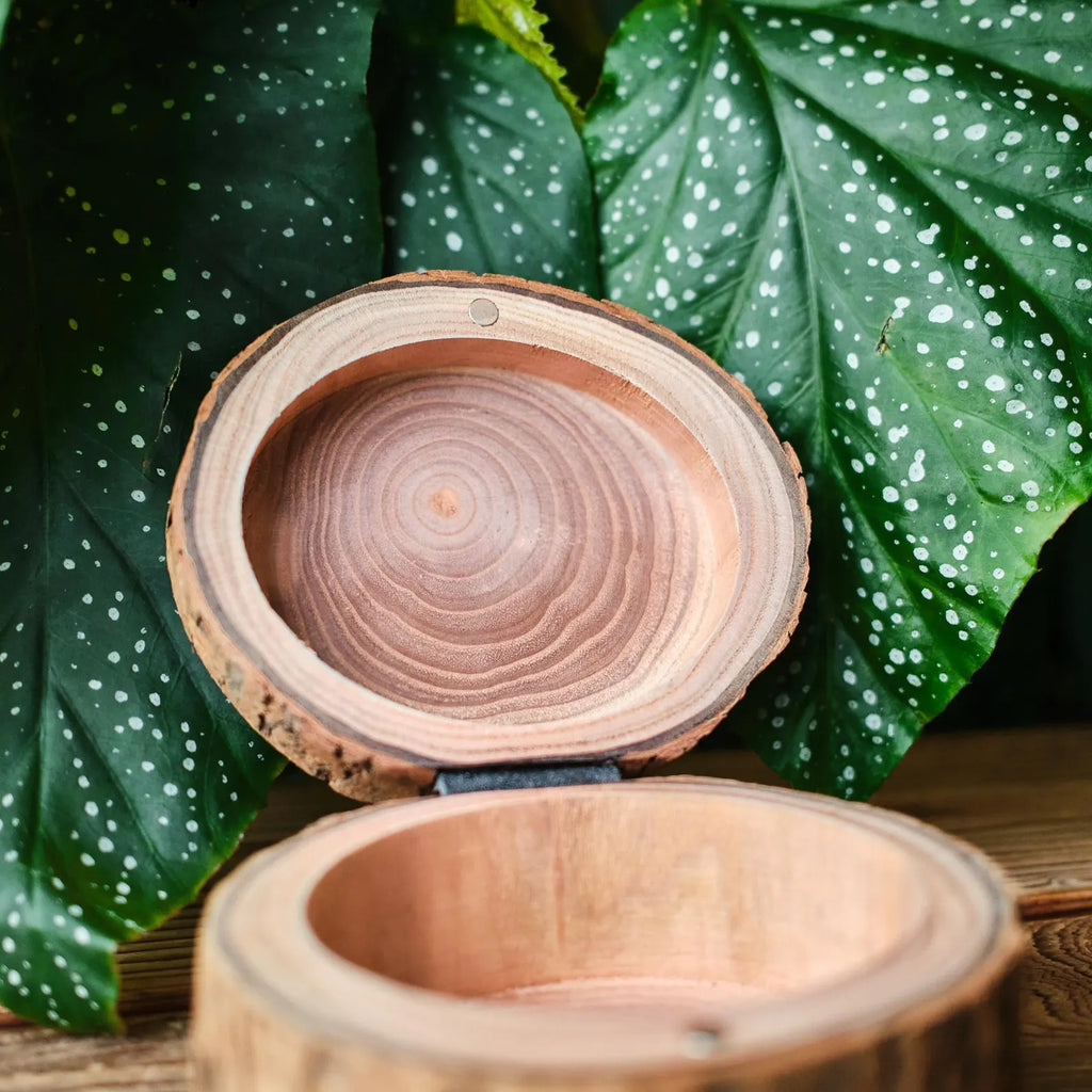 Rustic Wooden Bark Pet Memorial Box | Natural Tree Slice Ashes Urn | Keepsake Memory Trunk Box for Dog Cat Remembrance Gift | Jewellery Pot