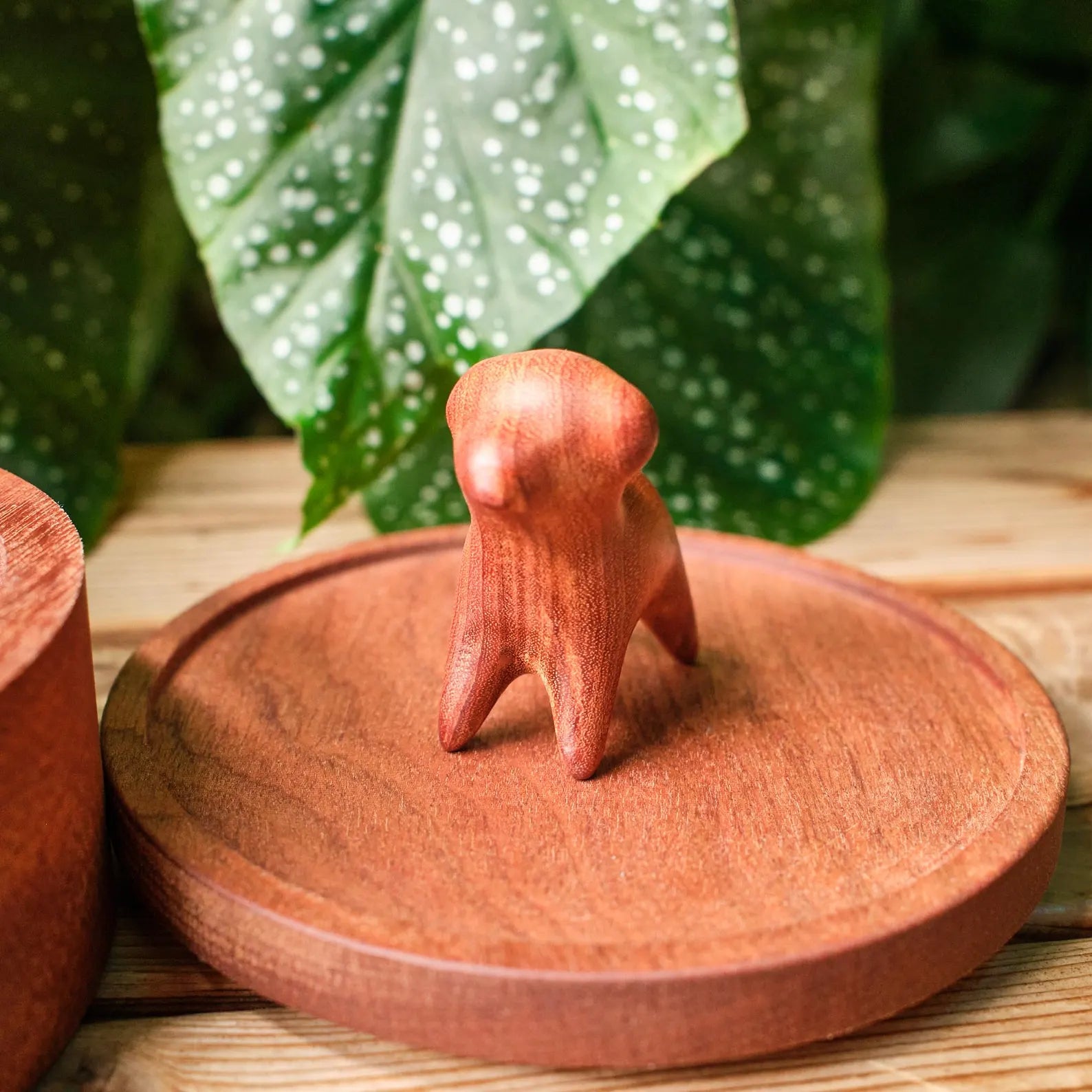 Medium and Large Handmade Natural Wooden Pet Urn | Suitable for All Dog Breeds | Handmade Memorial Ashes Box for Dogs｜Pet Loss Keepsake Gift